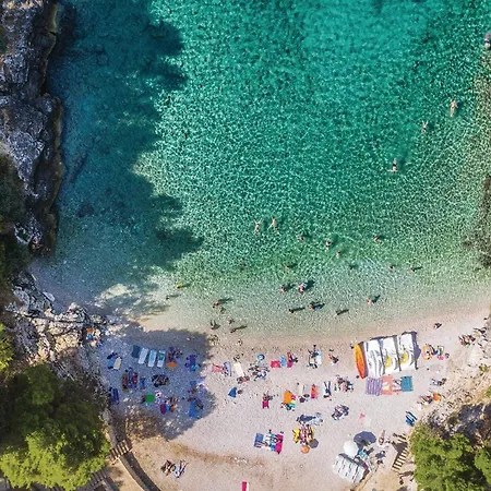 Stunning In With Wifi Appartement *