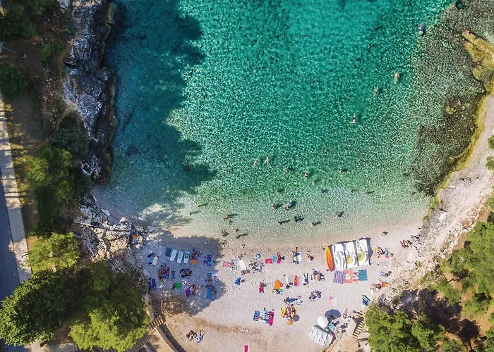 Stunning In With Wifi Apartment *